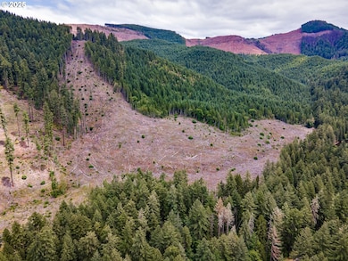 0 Sharps Creek Rd, Dorena, OR 97434 - photo 2