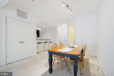 41895 Cathedral Valley Square unit A-303, Aldie, VA 20105 - photo 7