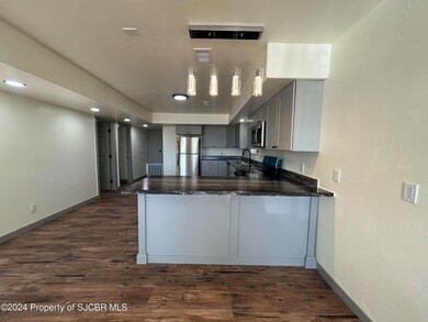 424 W Blanco Blvd, Bloomfield, NM 87413 - photo 6