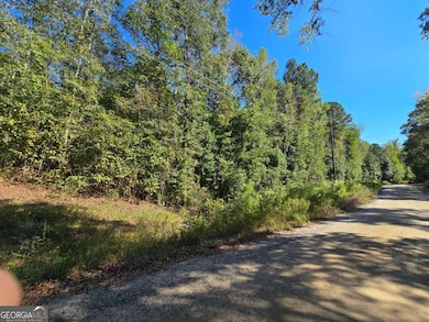 2100 Star Point Rd, Carrollton, GA 30116 - photo 2