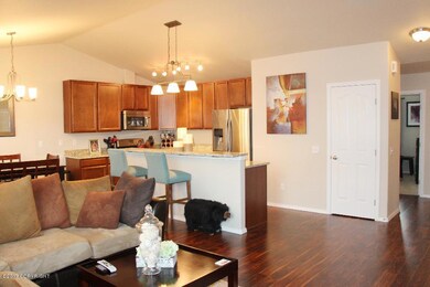 Living to kitchen