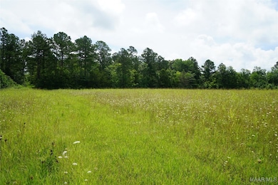 640 Barnes Rd, Pike Road, AL 36064 - photo 2