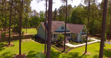 Drone view left side