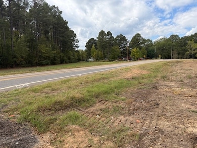 TBD Hwy 53, Bradley, AR 71861 - photo 5