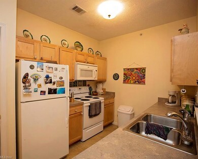 702 Aqua Marine Blvd unit 21, Avon Lake, OH 44012 - photo 4