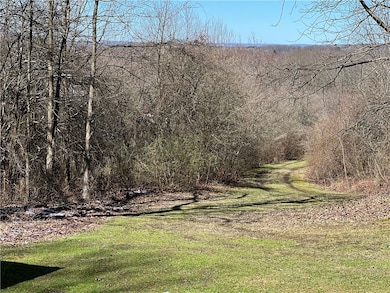 v/l Bunker Hill Rd, Cold Spring, NY 14772 - photo 2