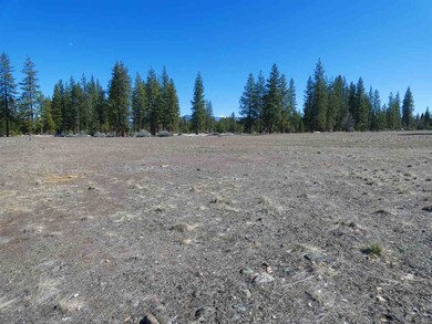0 N Kidder Creek Rd unit 20200359, Greenview, CA 96037 - photo 6