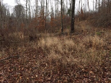 13001 Highway 192, Somerset, KY 42501 - photo 4