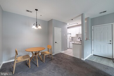 810 Brassie Ln unit 810-E, Glen Allen, VA 23059 - photo 5