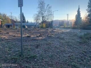 NHN Stewart St, Anchorage, AK 99508 - photo 4