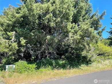 138 N Razor Clam Dr SW, Ocean Shores, WA 98569 - photo 4