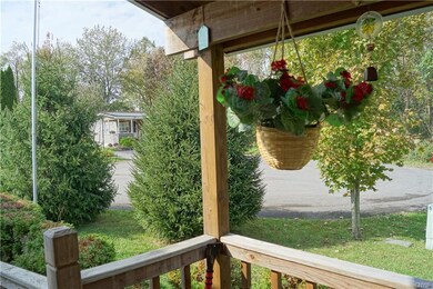 View from deck out to the cul-de-sac