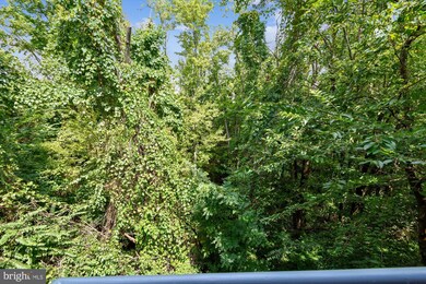 6335 Stevenson Ave unit D, Alexandria, VA 22304 - photo 7