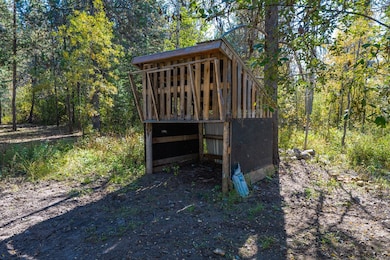 808 Hayes St, McCall, ID 83638 - photo 5