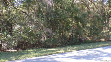 unlisted-address, Hernando, FL 34442 - photo 3