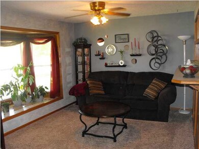 New Carpet