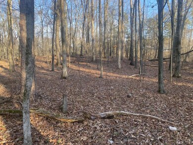 Mostly level, gently sloping land for homesite.
