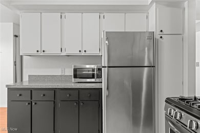 1105 Canyon View Rd unit 106, Northfield, OH 44067 - photo 4