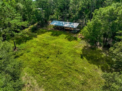 12.5+/- acres Zell Ready Rd, Andalusia, AL 36421 - photo 6