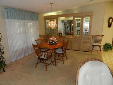 923_cypress3