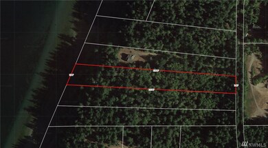 9424 Steffenson Rd, Anderson Island, WA 98303 - photo 3