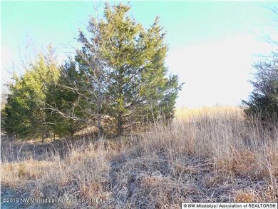 10 acres Sycamore Road photo 3