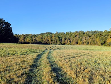 0 Daniels Run Rd, Check, VA 24072 - photo 6