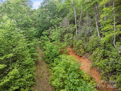 10 Turkey Trot Trail, Sylva, NC 28779 - photo 6
