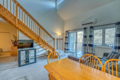 36 Lodge Rd unit B312, Lincoln, NH 03251 - photo 5