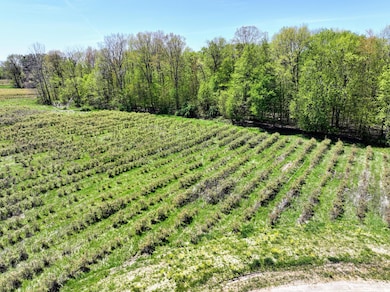 VL Benny Ct (Private) unit Parcel 3, Grand Junction, MI 49056 - photo 4