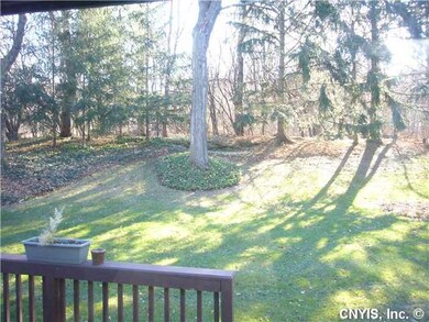 Yard/Garden. Back yard with wooded area.