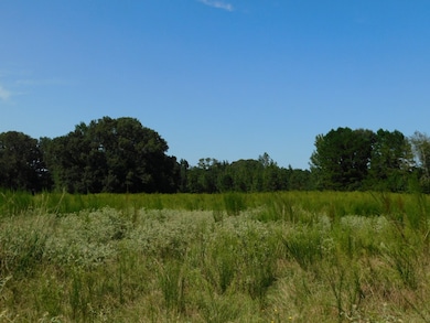 View of wooded area featuring a rural view