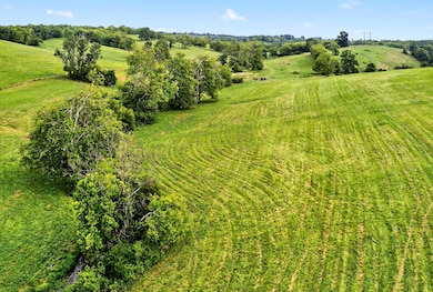 3056 Irvine Rd, Winchester, KY 40391 - photo 3