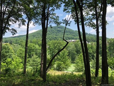 2020 Song Breeze Trail unit LOT 146, Arden, NC 28704 - photo 6