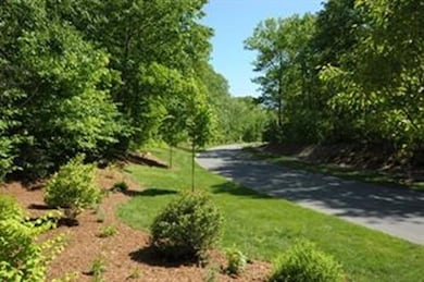 233 Emerson Way, Northampton, MA 01062 - photo 3