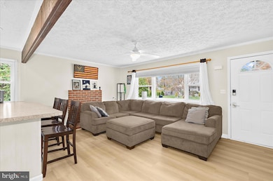 116 Talbot Rd, Stevensville, MD 21666 - photo 6