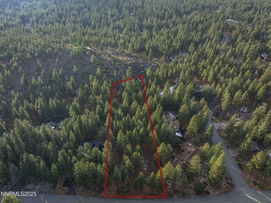 1385 Austrian Pine Rd, Reno, NV 89511 - photo 5