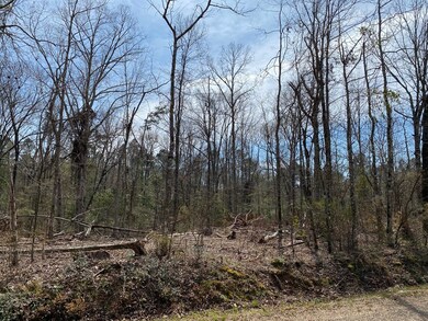 N/A D P Guy Rd, Ruth, MS 39662 - photo 6