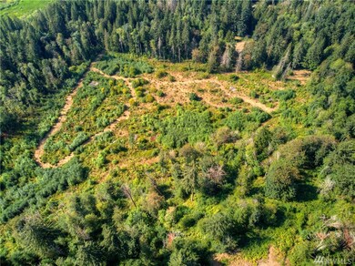 0 256th St E, Graham, WA 98338 - photo 3