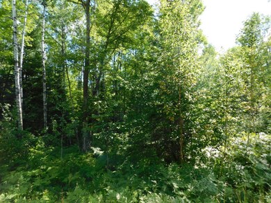 Lot 2 Sanctuary Rd, Tomahawk, WI 54487 - photo 2