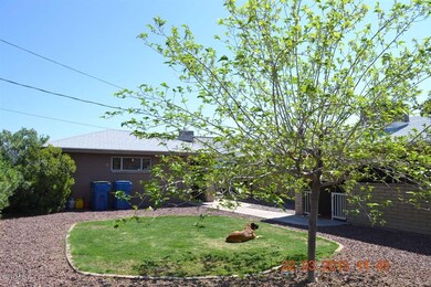 Backyard 1
