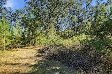 0 SW Paradise Way unit MFRTB8442555, Greenville, FL 32331 - photo 3