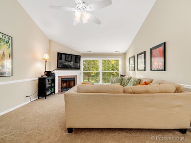 1098 Spring Garden Cir unit 8, Naperville, IL 60563 - photo 3