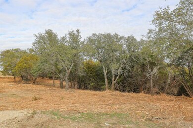 113 E Stagecoach Trail, Weatherford, TX 76085 - photo 2