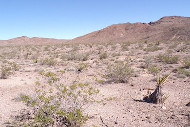 N White Dr, Dolan Springs, AZ 86441 - photo 2