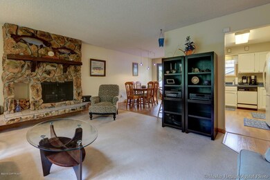 Gas Insert Fireplace