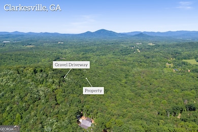 5012 Alec Mountain Rd, Clarkesville, GA 30523 - photo 7