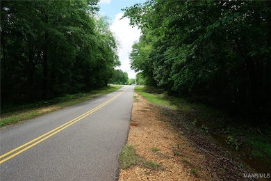 25940 Troy Hwy, Ramer, AL 36036 - photo 3