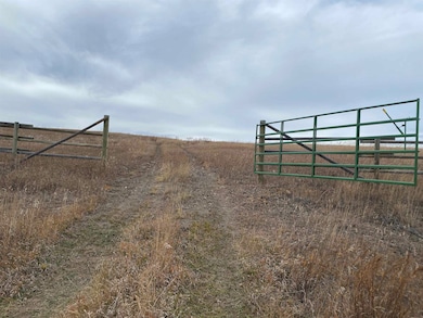 Lot 6 & 7 Mineral Ln unit TBD Mineral Lane, West Pennington, SD 57745 - photo 4