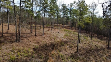 LT 108 Blalock Mountain Rd, Talking Rock, GA 30175 - photo 5